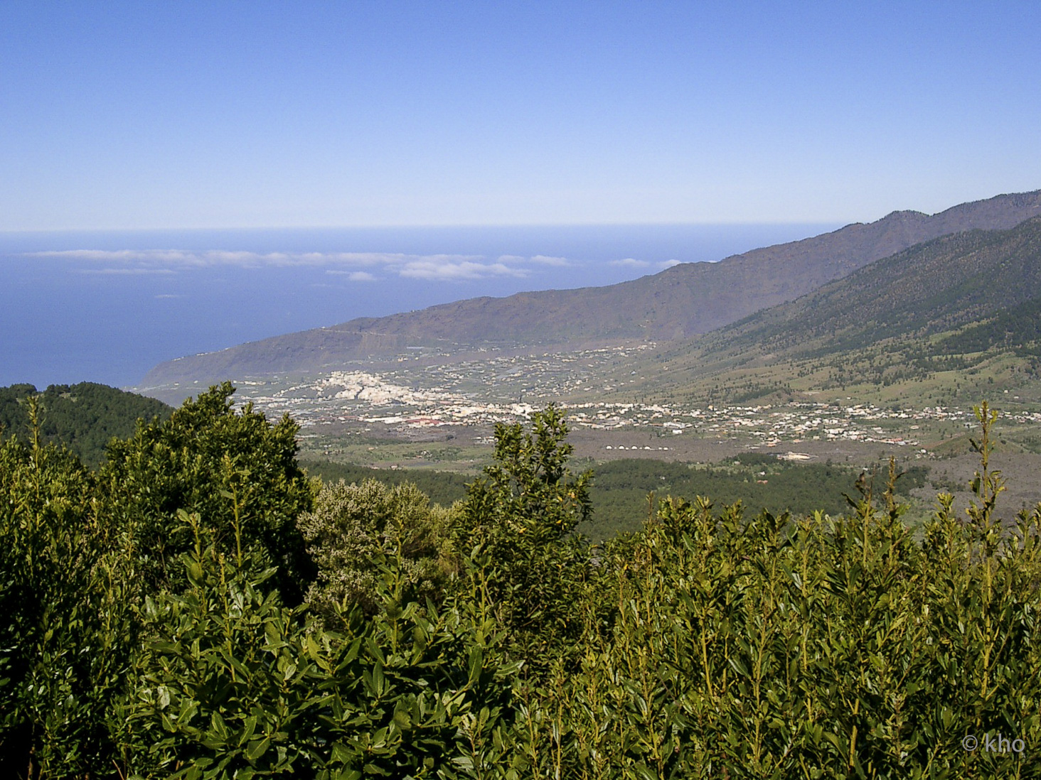 CIMG0607.jpg