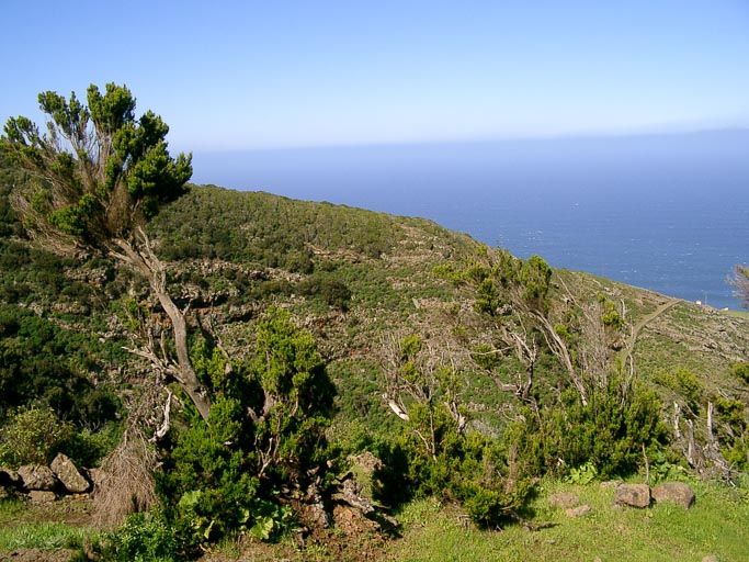 La Palma