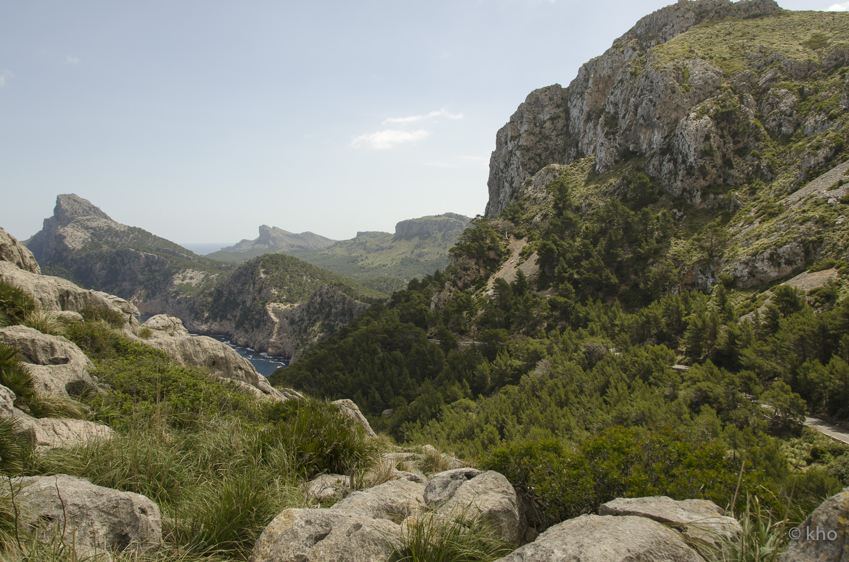 _D704358.jpg