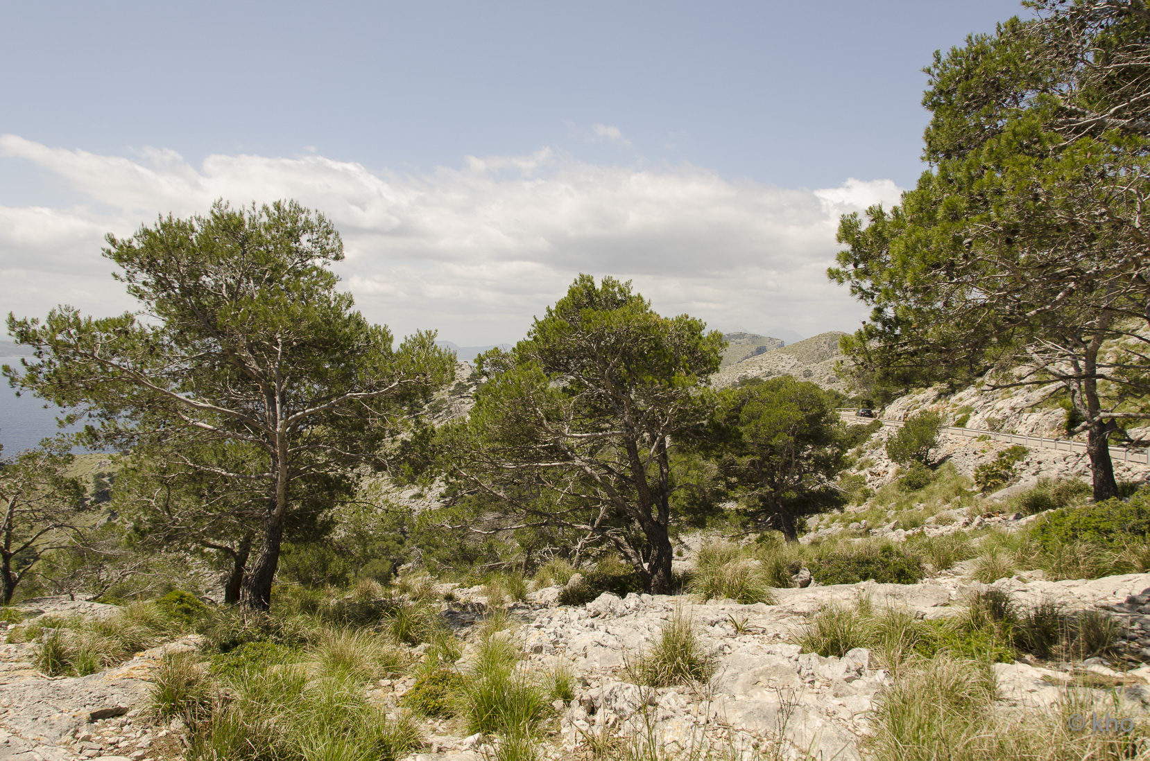 _D704392.jpg