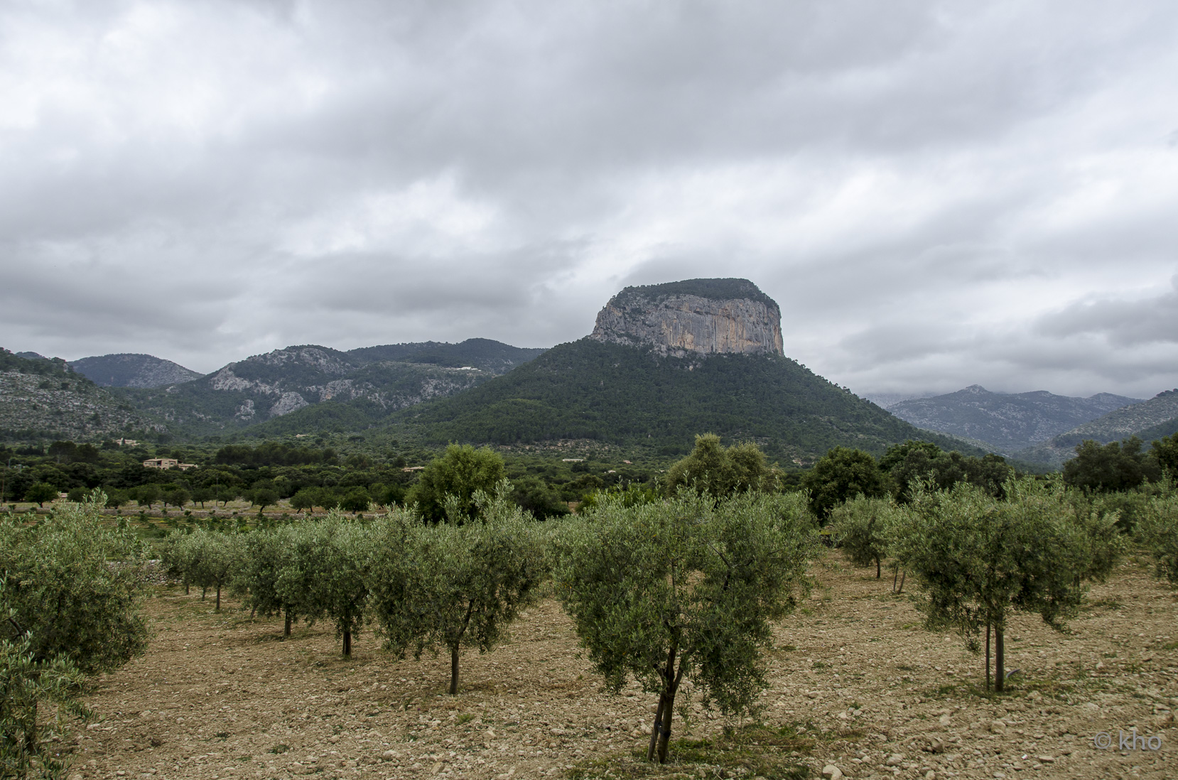 _D704454.jpg