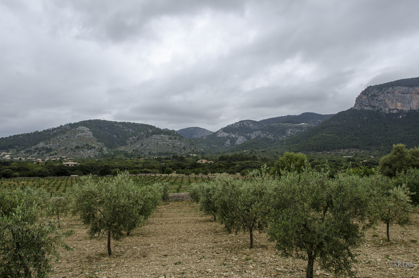 _D704456.jpg