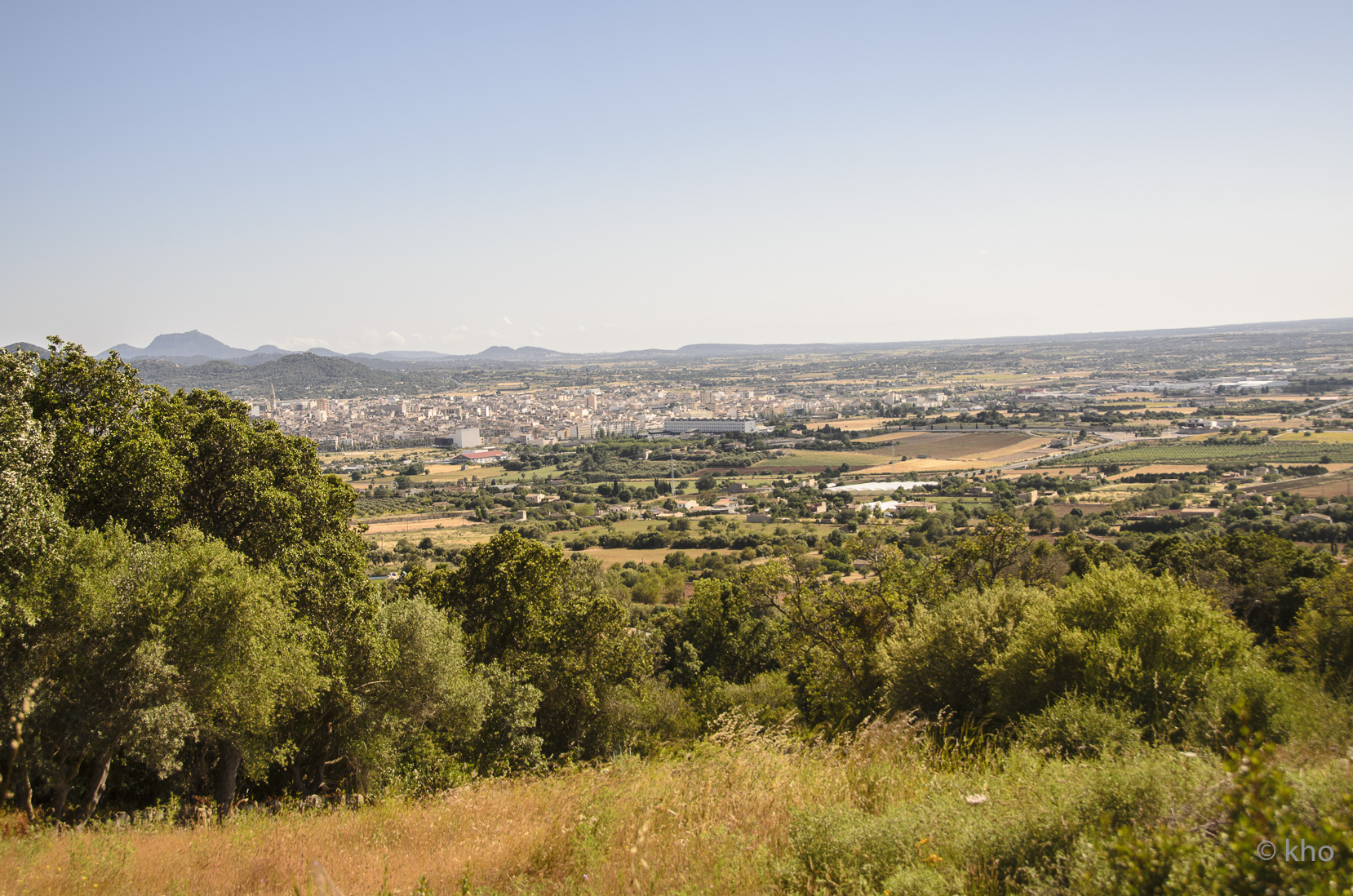 _D704533.jpg