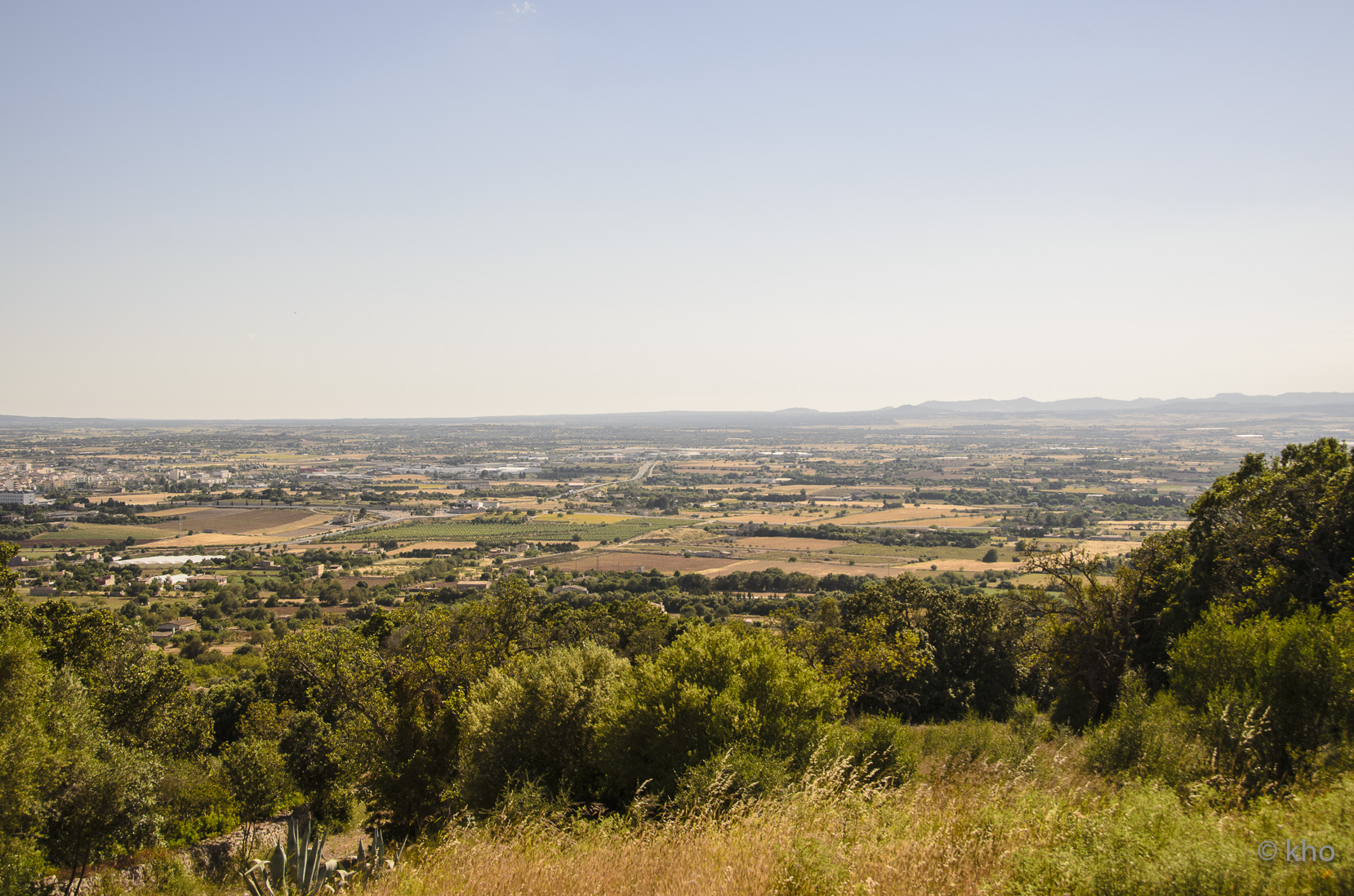 _D704535.jpg