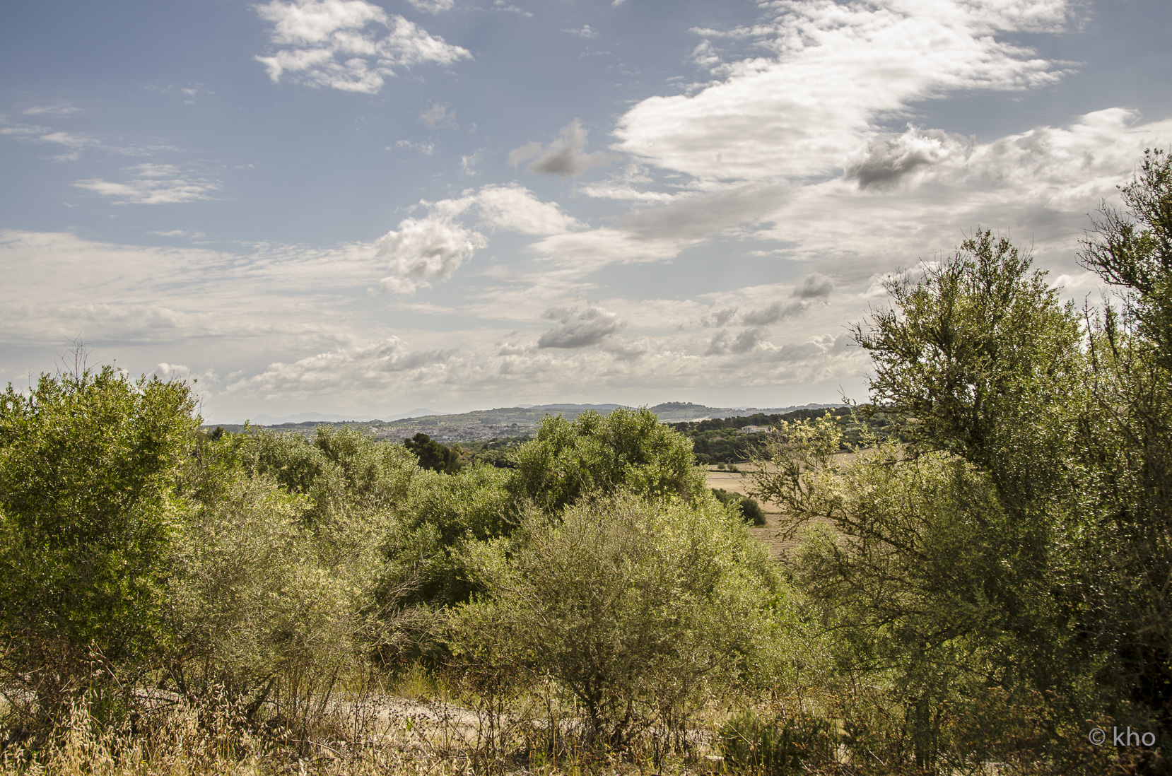 _D704549.jpg