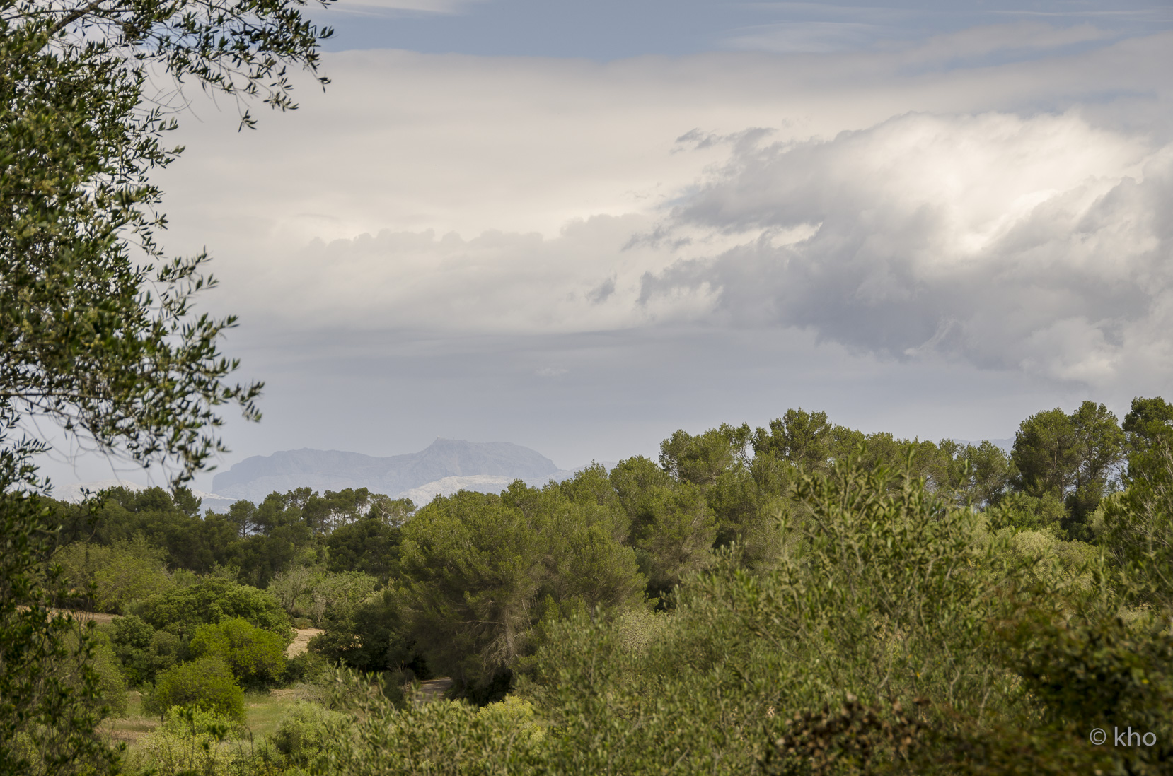 _D704550.jpg
