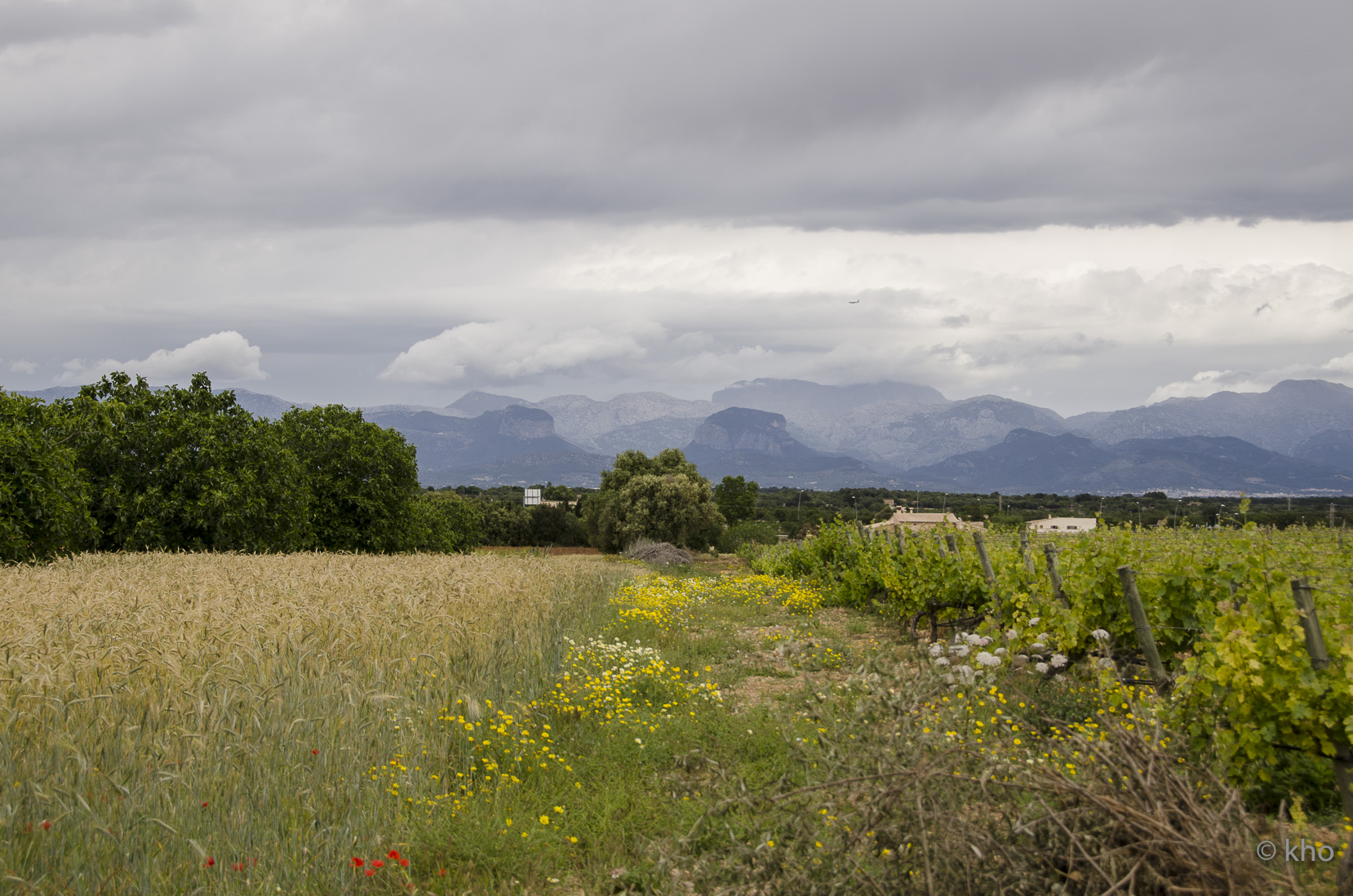 _D704566.jpg