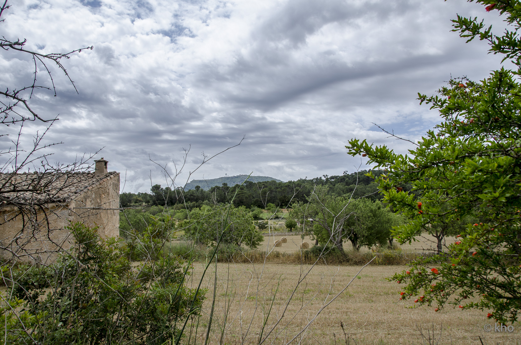 _D704575.jpg