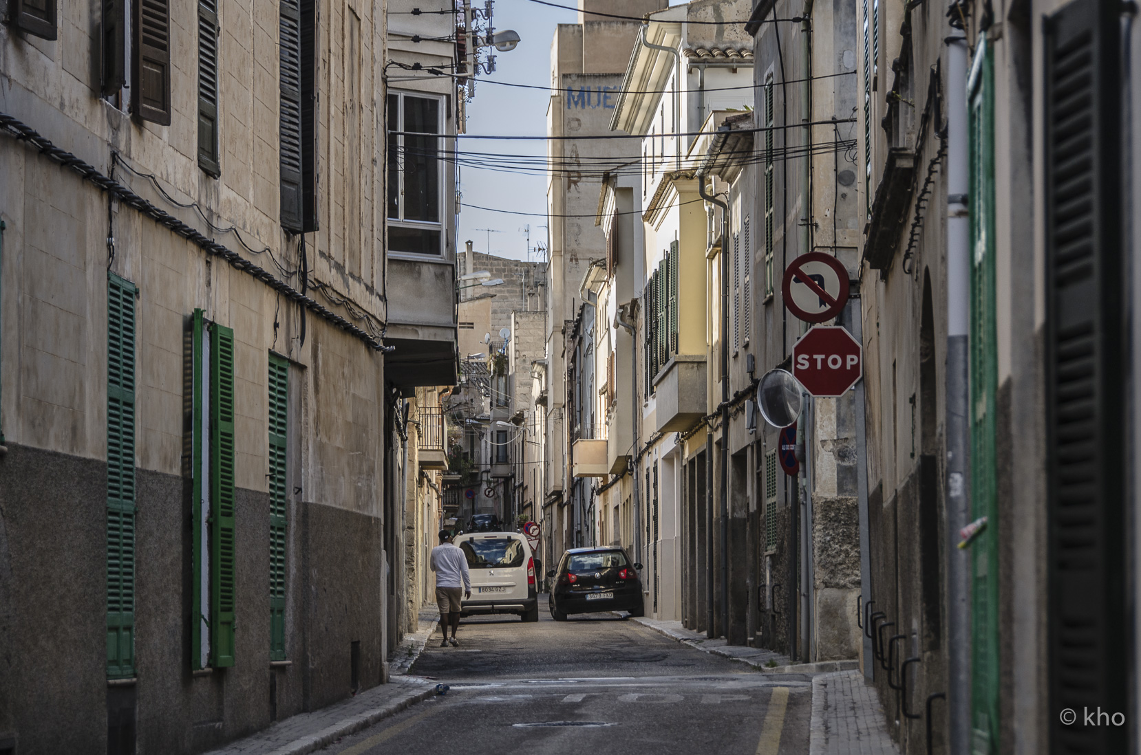 _D704622.jpg