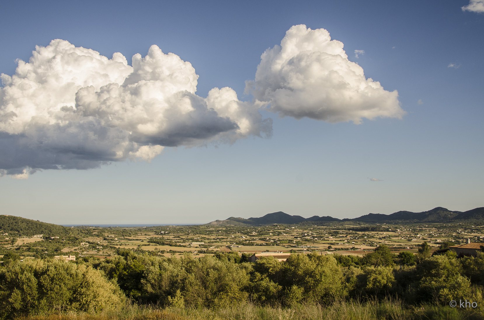 _D704644.jpg