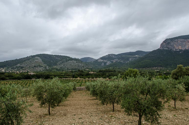 Mallorca